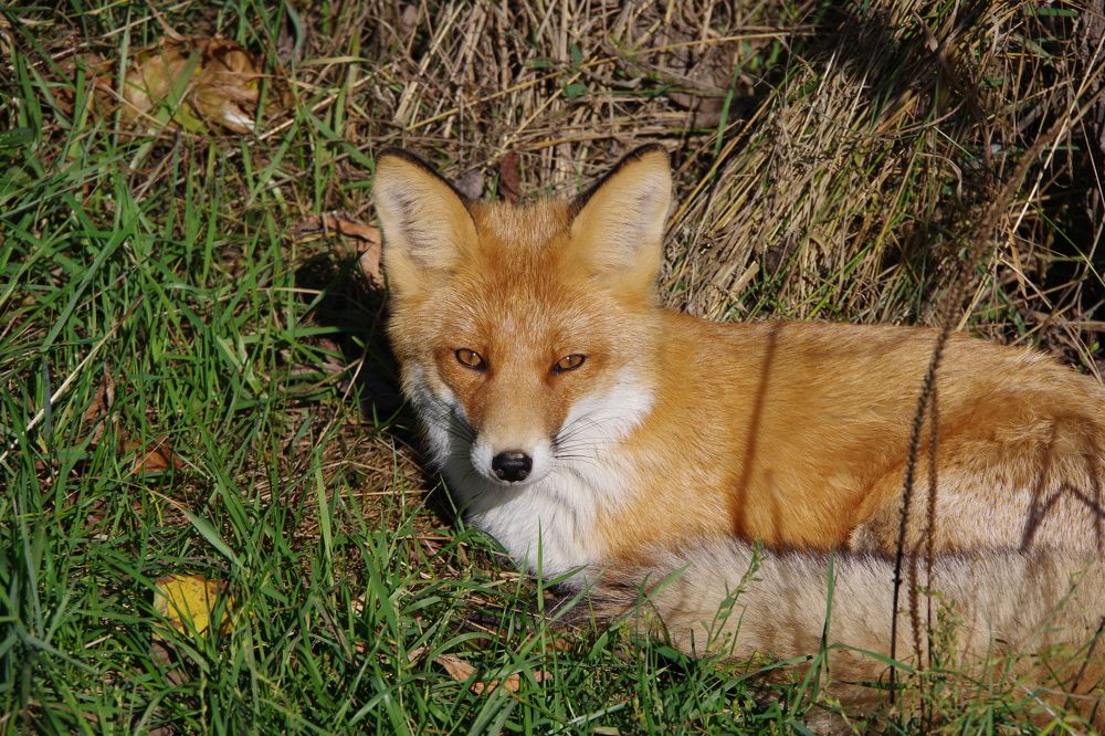 Photograph by АЛЕКСЕЙ