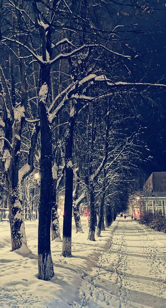 Фотография автора Андрей Богданов