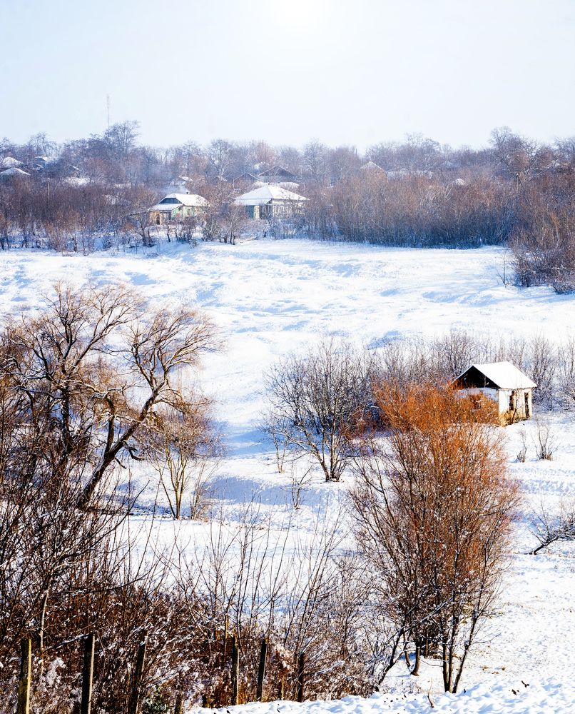 Photograph by Кристина Присакарь
