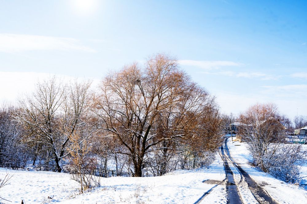 Photograph by Кристина Присакарь