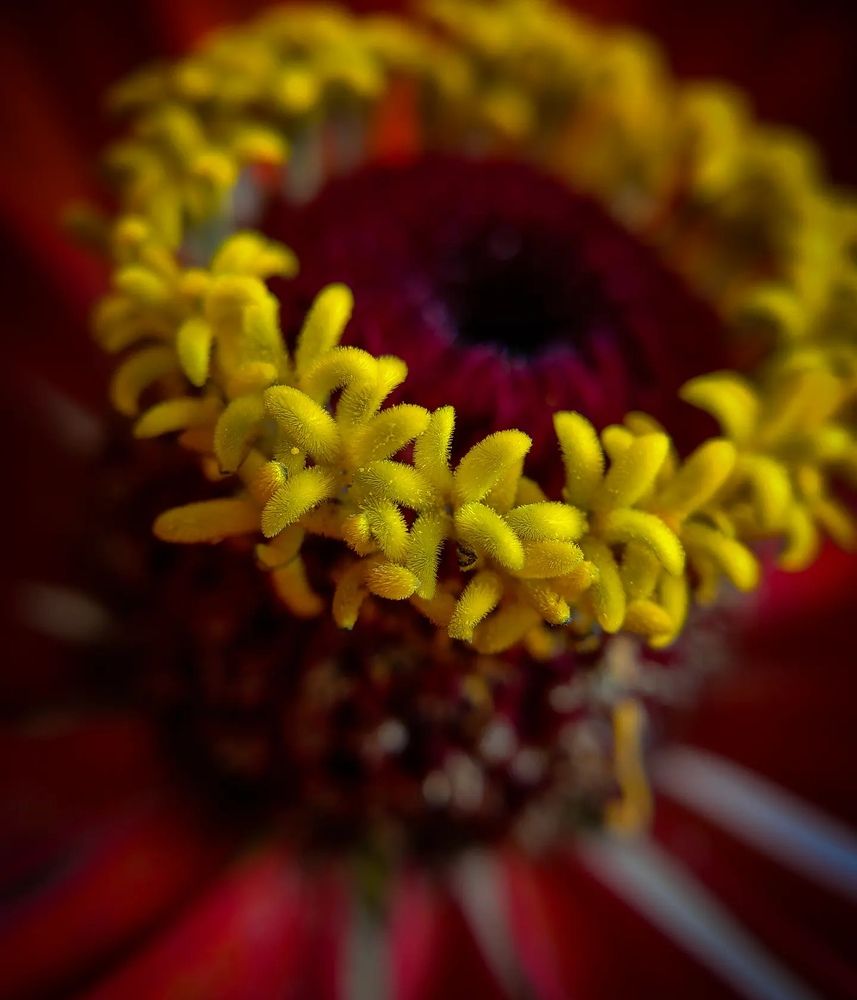 Фотография автора Юра Кладухин