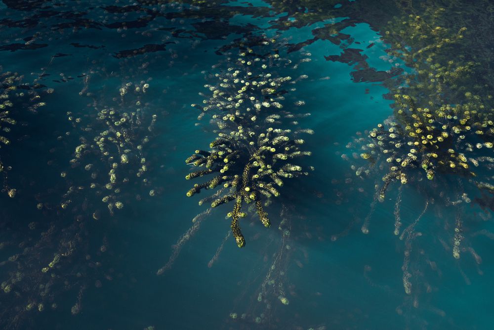 Photograph by Alexander Kovalenko