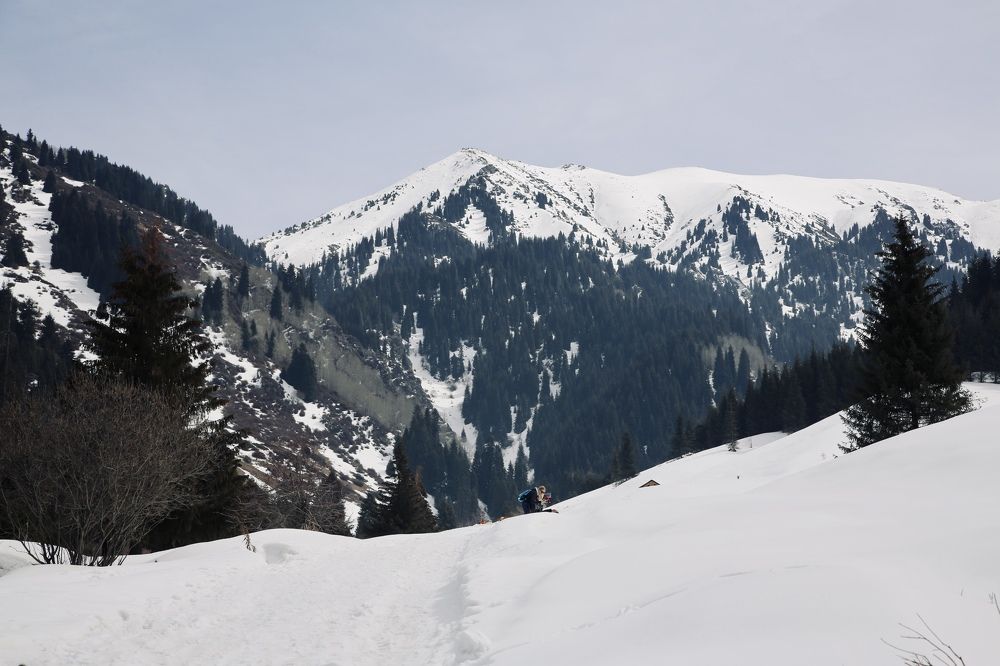 Photograph by Anna Mishina