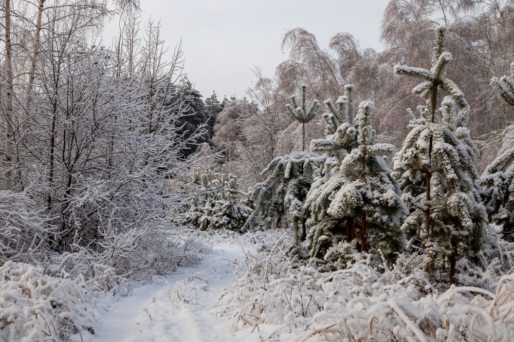 Photograph by Светлана Тараканова
