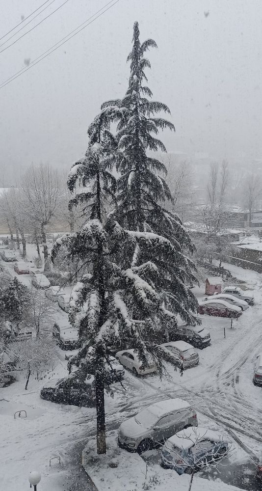 Photograph by Ольга Тихонова