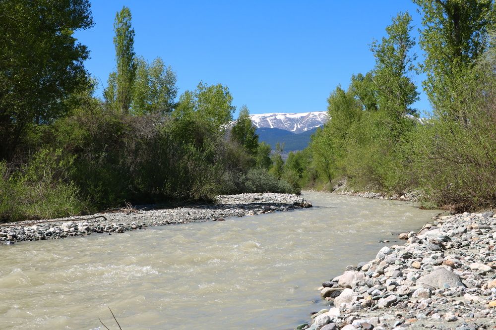 Photograph by Cengiz Yalcin