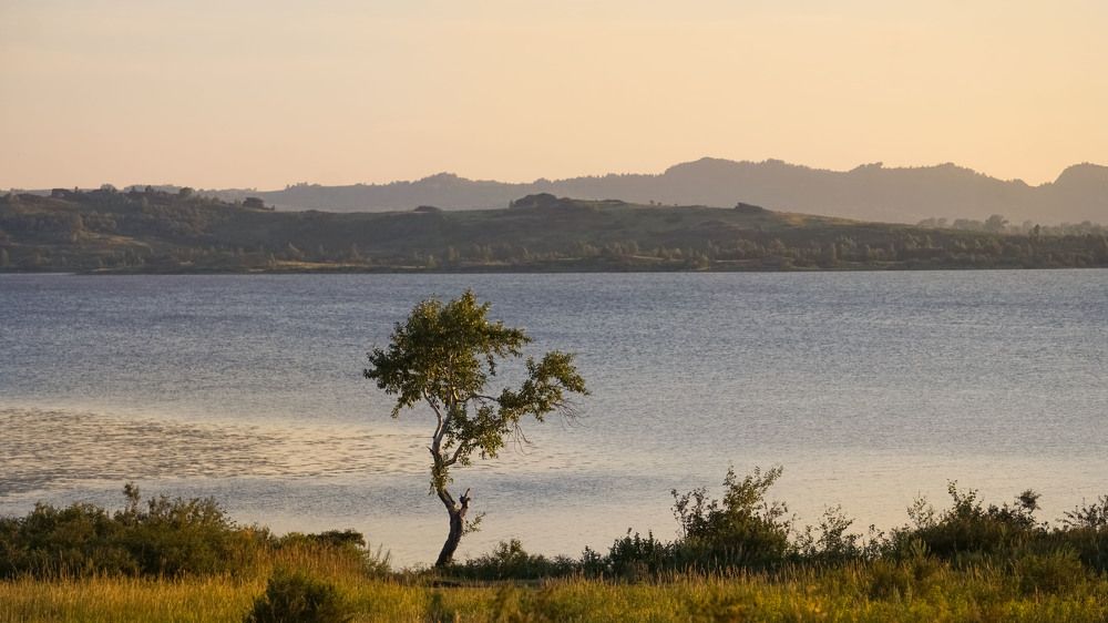 Photograph by Slesareva Nina