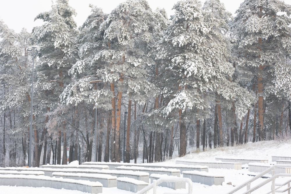 Photograph by Татьяна Царева