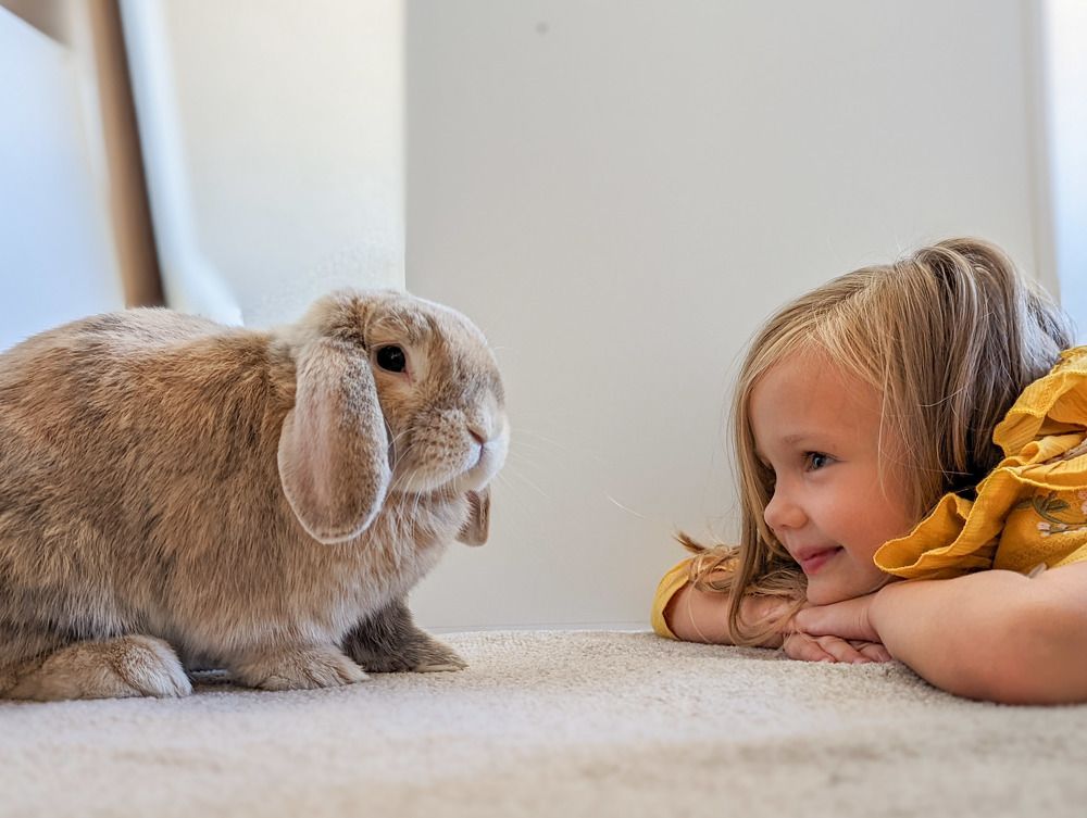 Photograph by Луиза Хисамутдинова