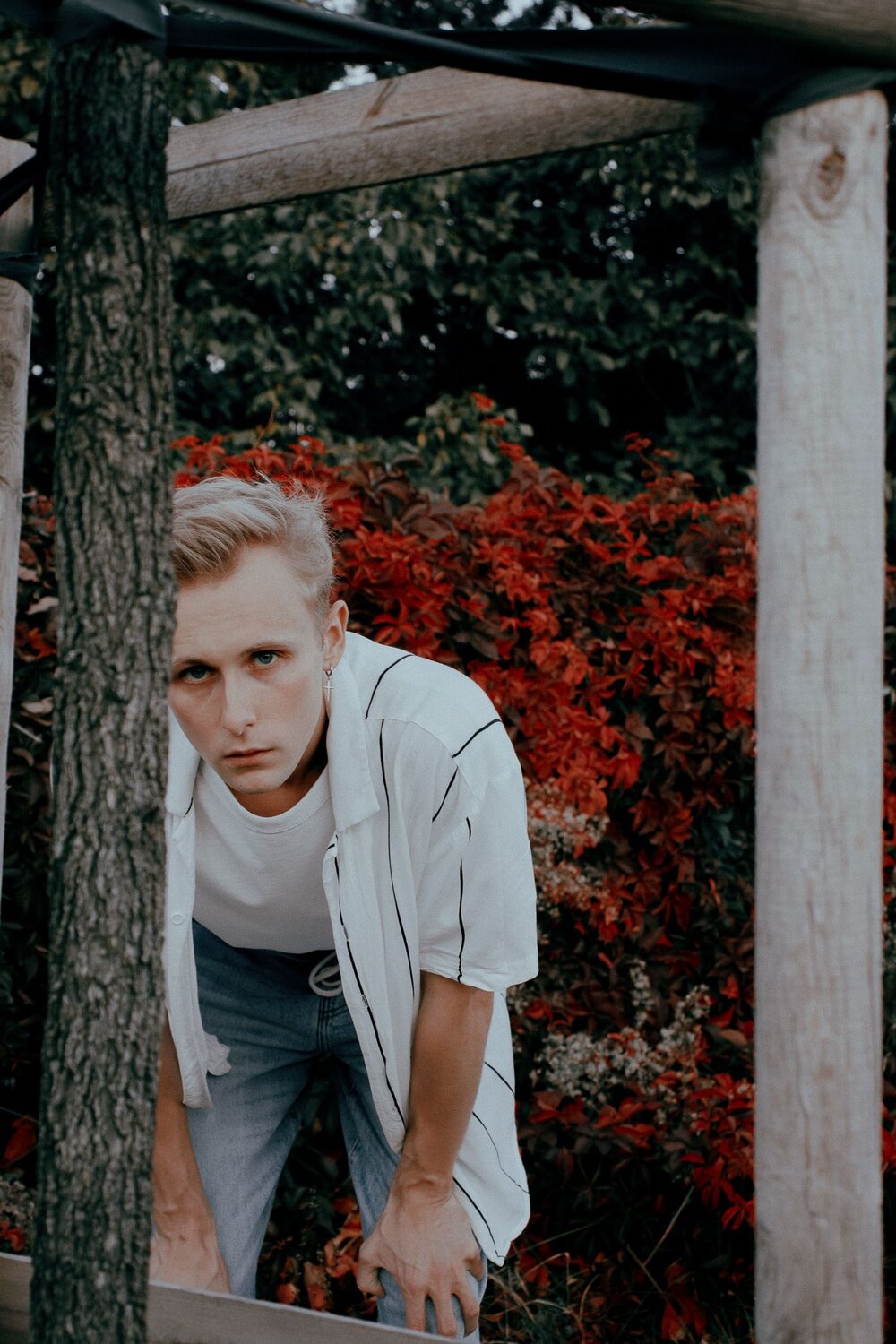 Photo #8493300
