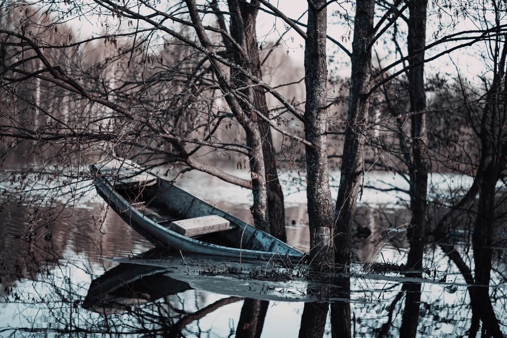 Photograph by Шельменков Артур