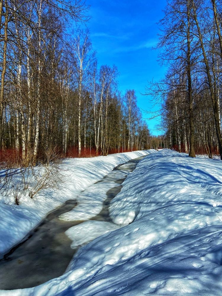 Photograph by Оксана Смородина