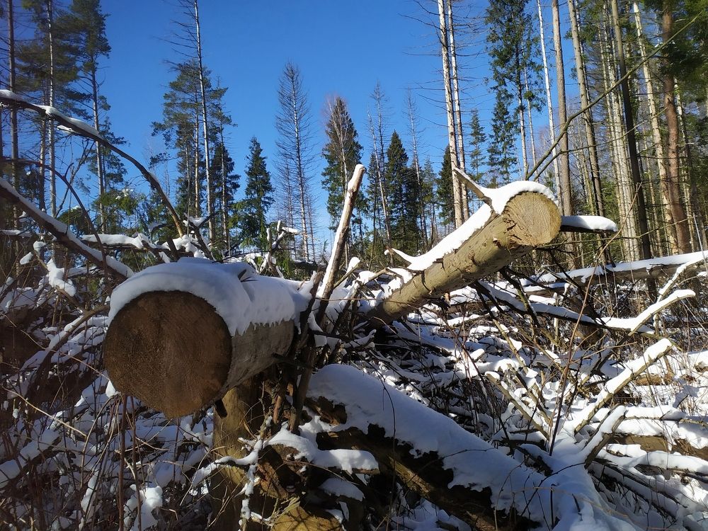 Photograph by Елена Смирнова