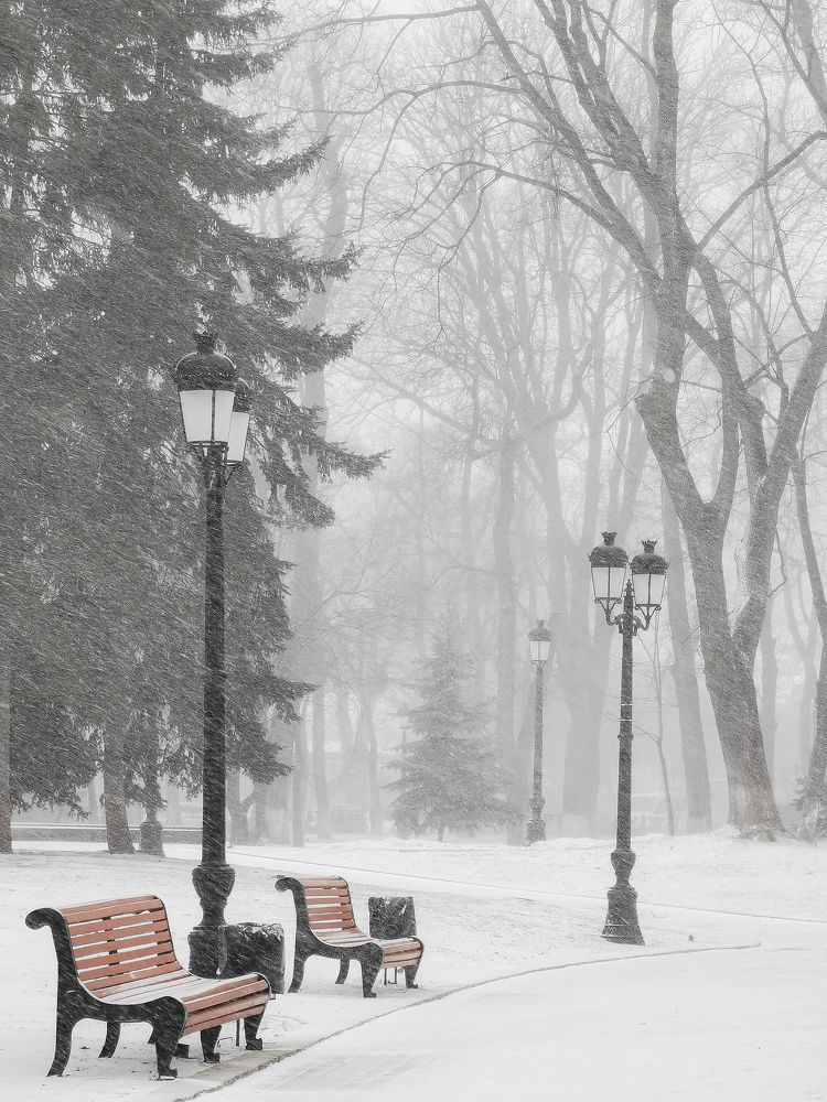 Photograph by Алексей Тарасов