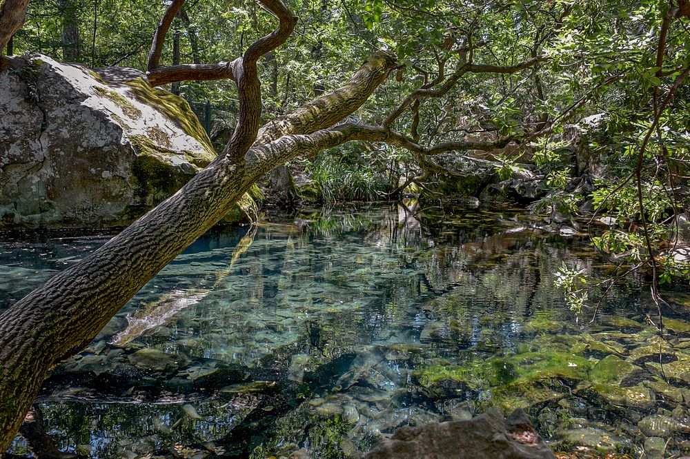 Photograph by Александр Шипиленко