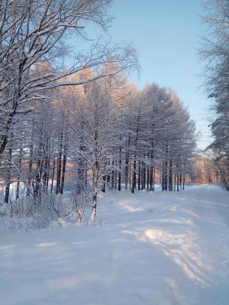 Фотография автора Олеся