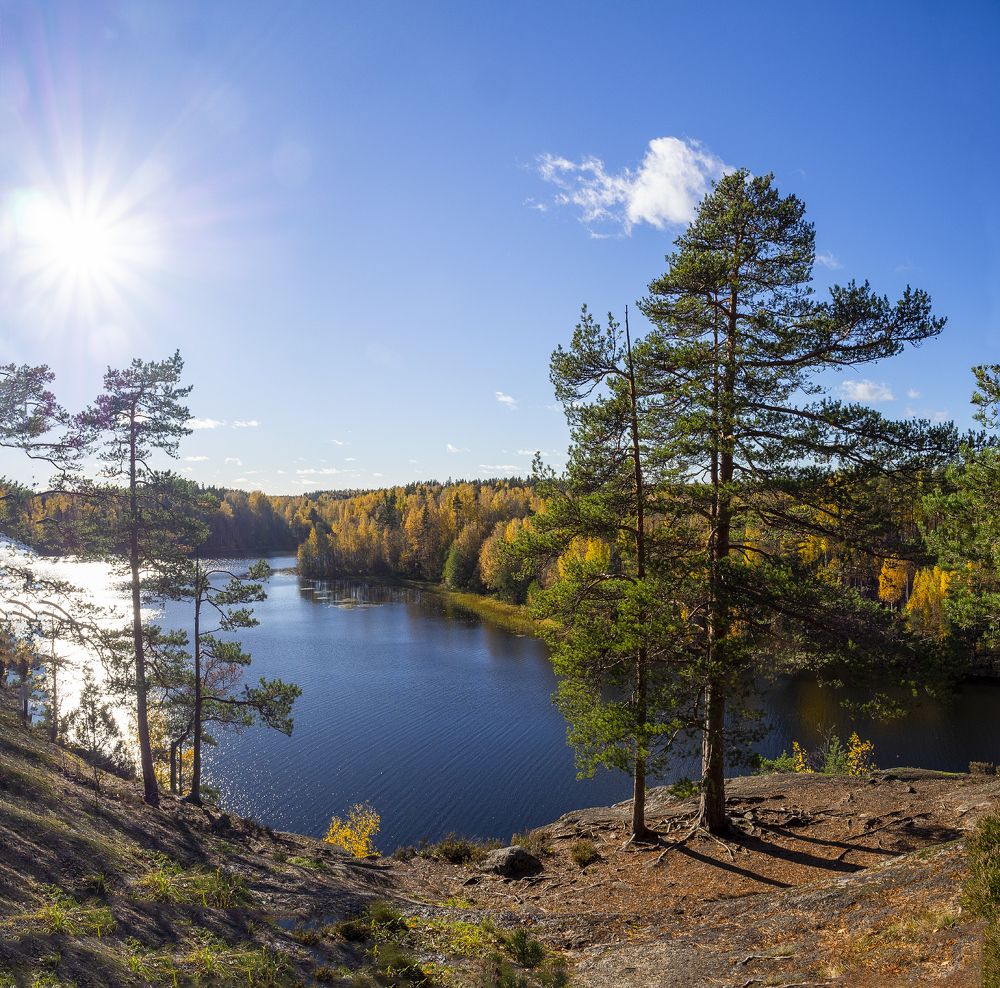 Photograph by Ольга Якшина