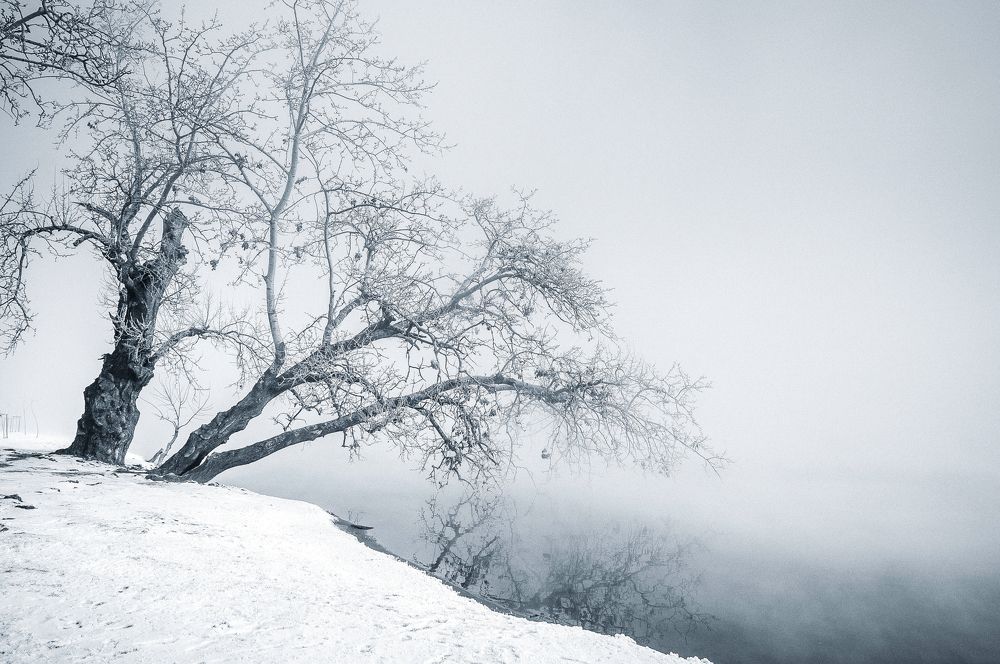 Безмятежность