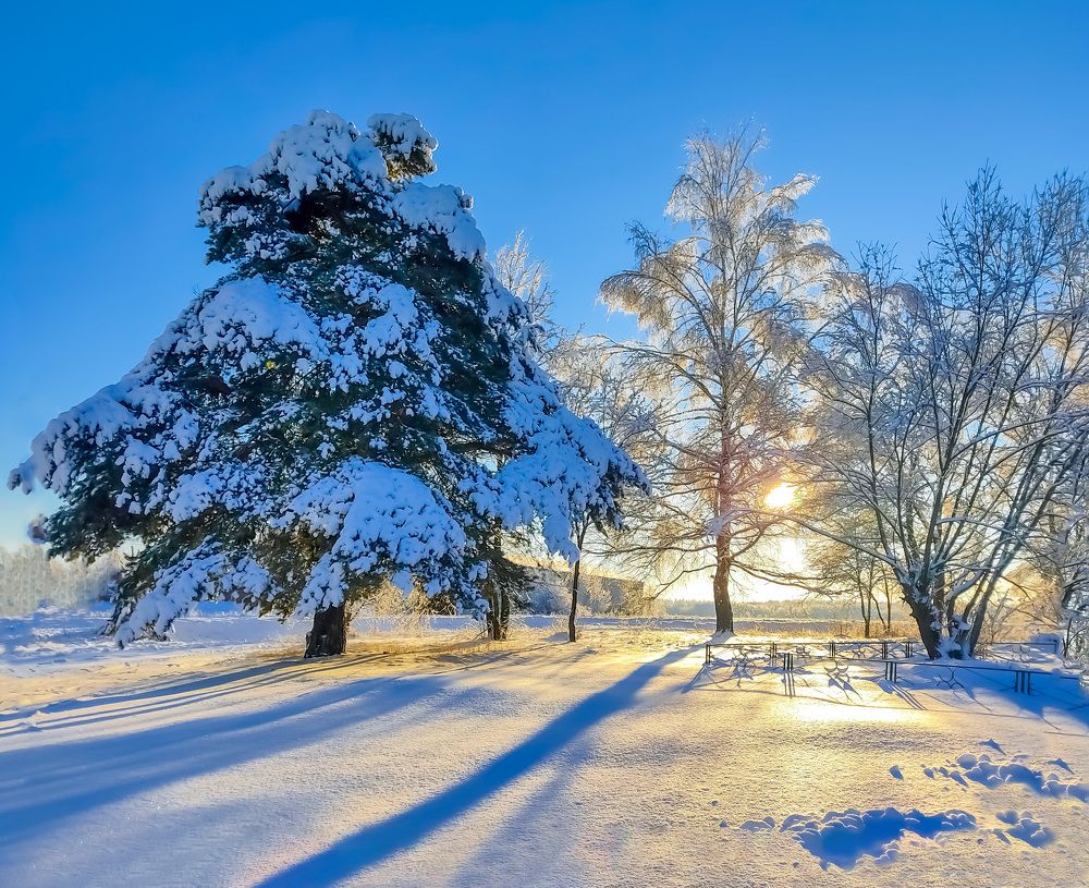 Photograph by Margarita