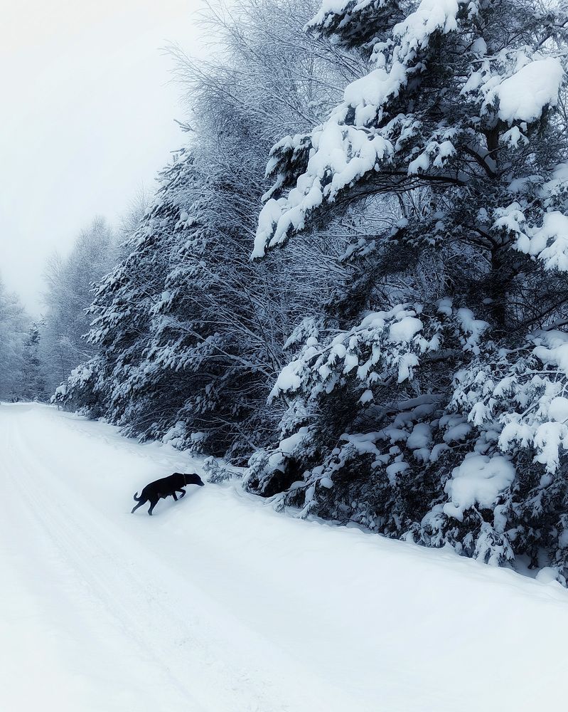 Photograph by Margarita