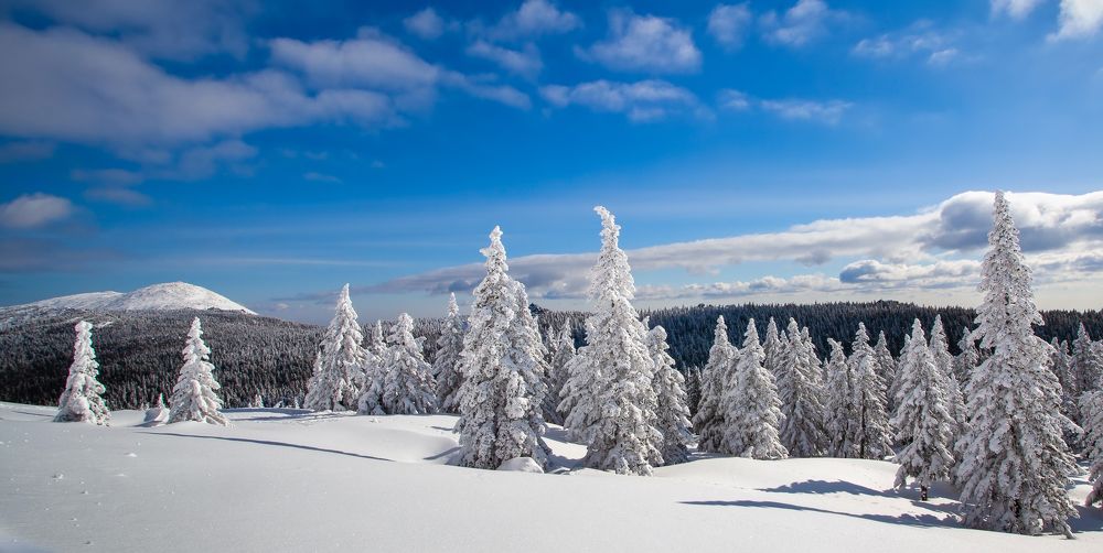 Photograph by Сергей Евдокимов