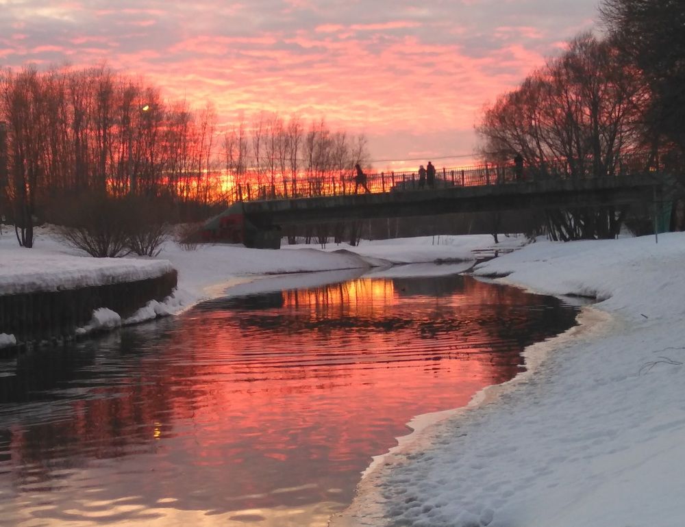 Photo #8493434