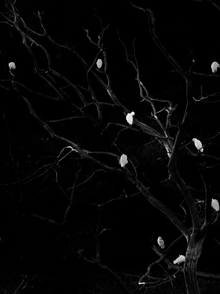 Photograph by Giuseppe Catalano