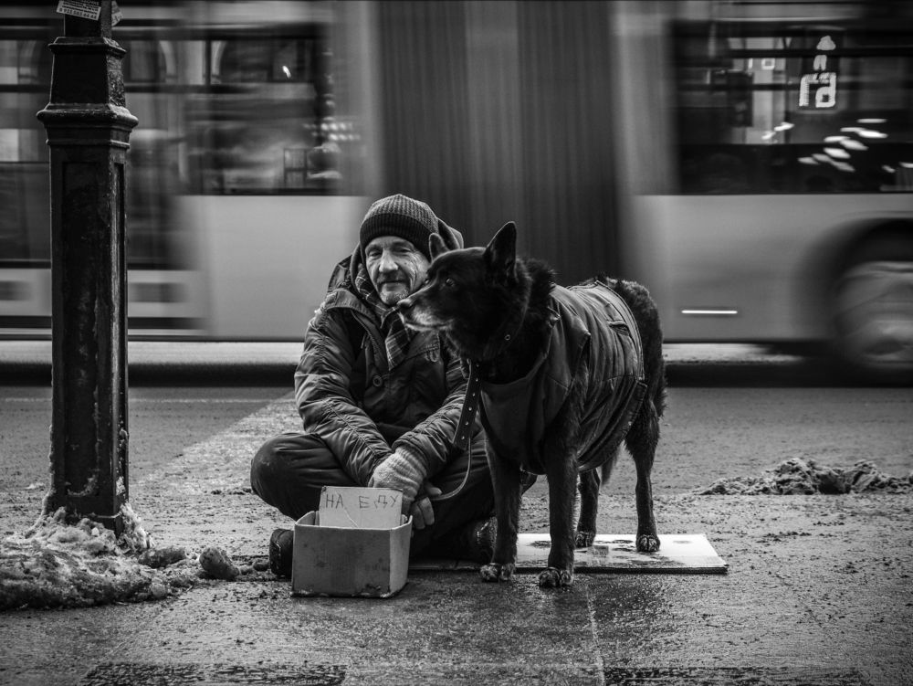 Photograph by Лазарев Евгений