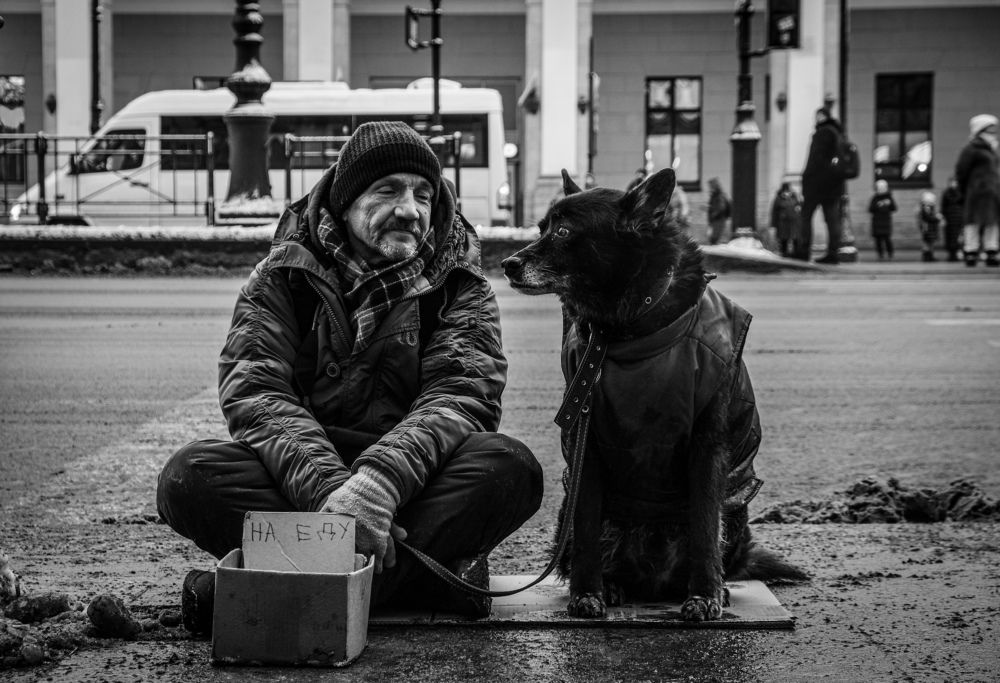 Photograph by Лазарев Евгений