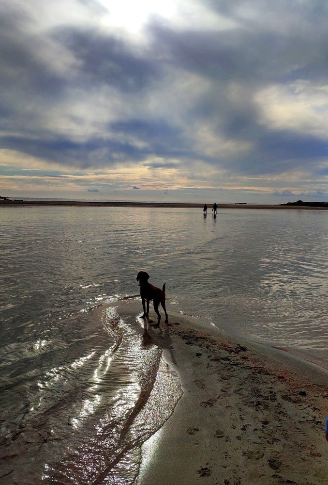 Photograph by Елена