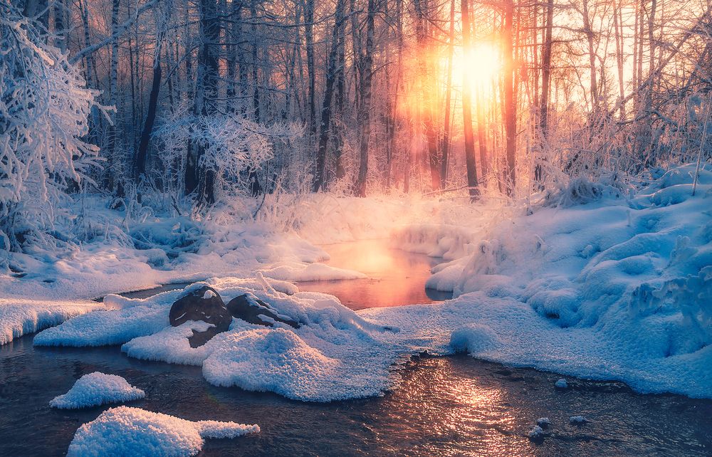 Photograph by Николай Привалов