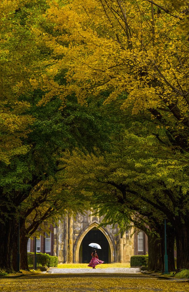 Photograph by Pham Van Tuan