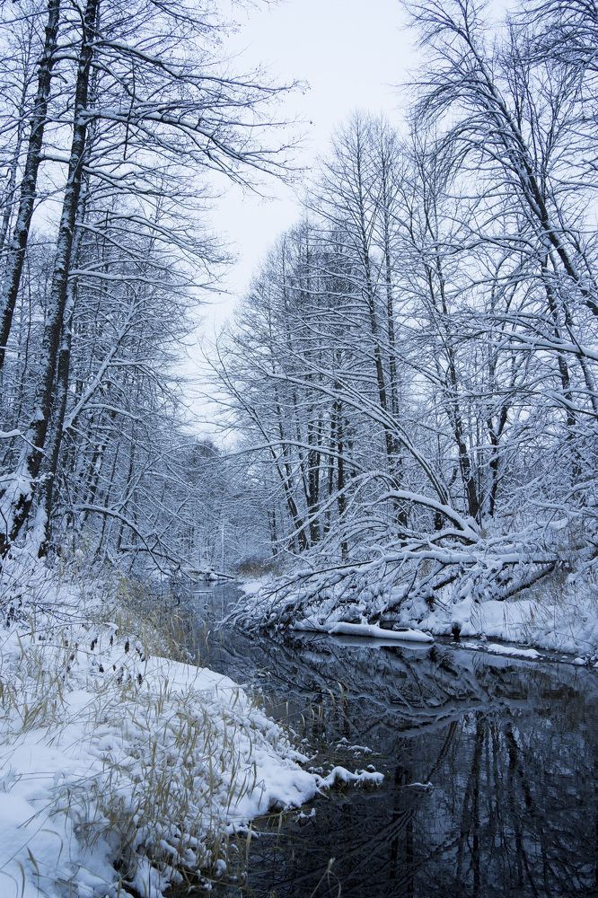 Photograph by косяк