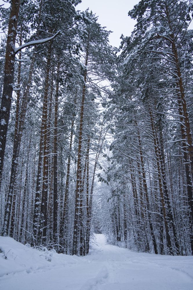 Photograph by косяк