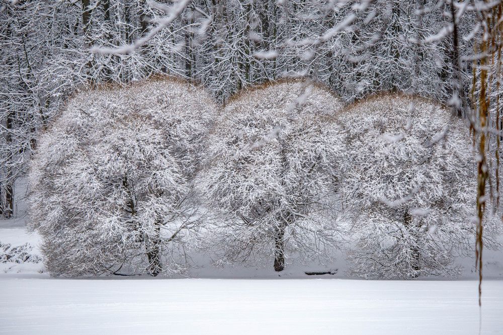 Photograph by Евгения Бочарова