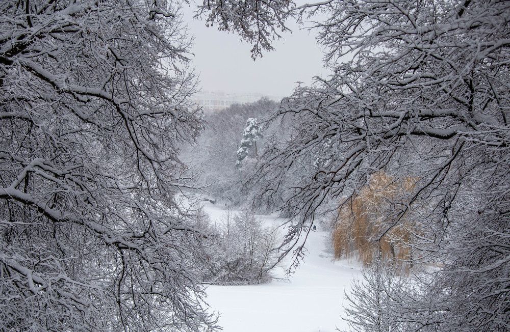 Photograph by Евгения Бочарова