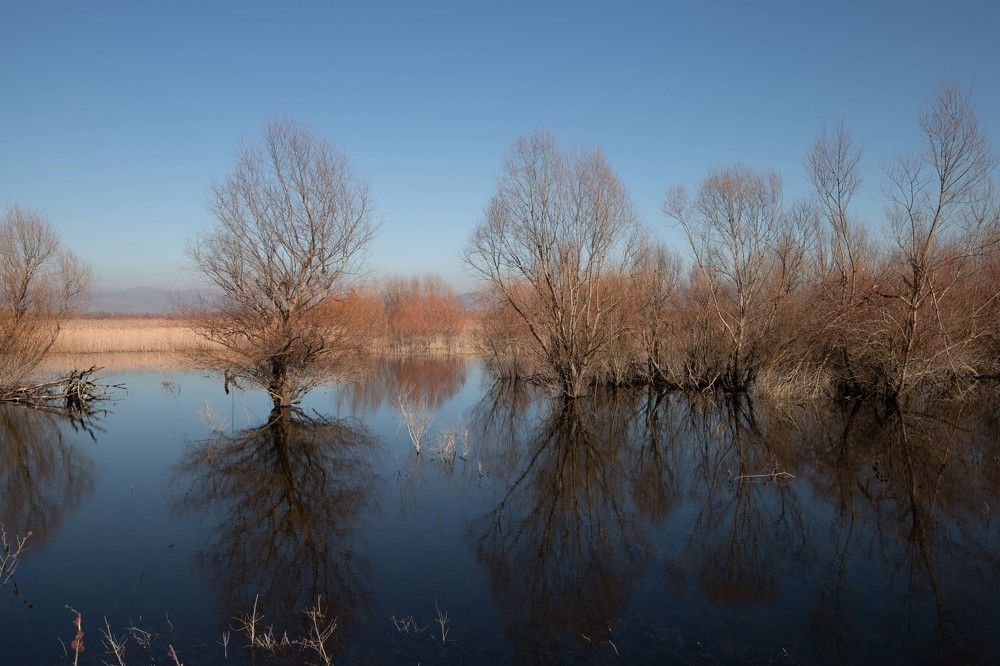 Photograph by Meliha Suskavcevic