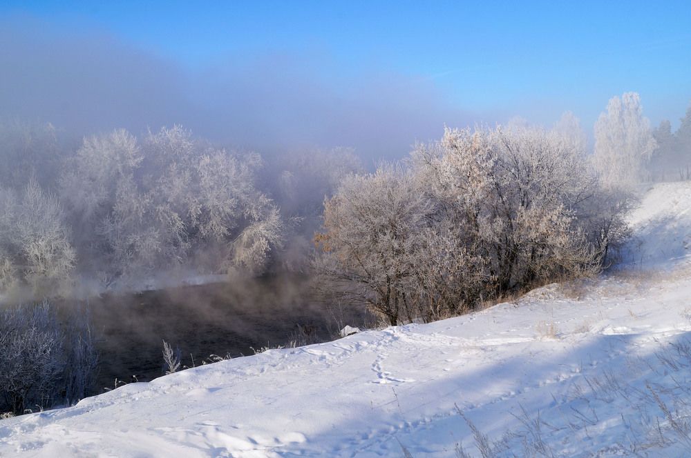 Photograph by Мишустина Татьяна