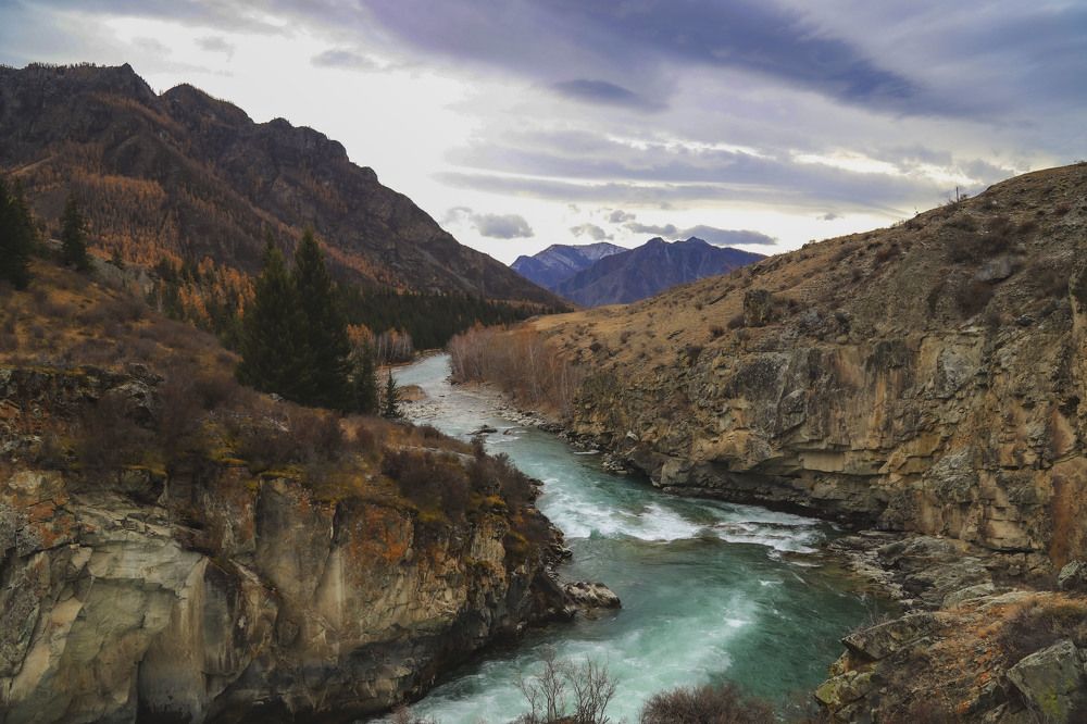 Photograph by Владимир Каверин