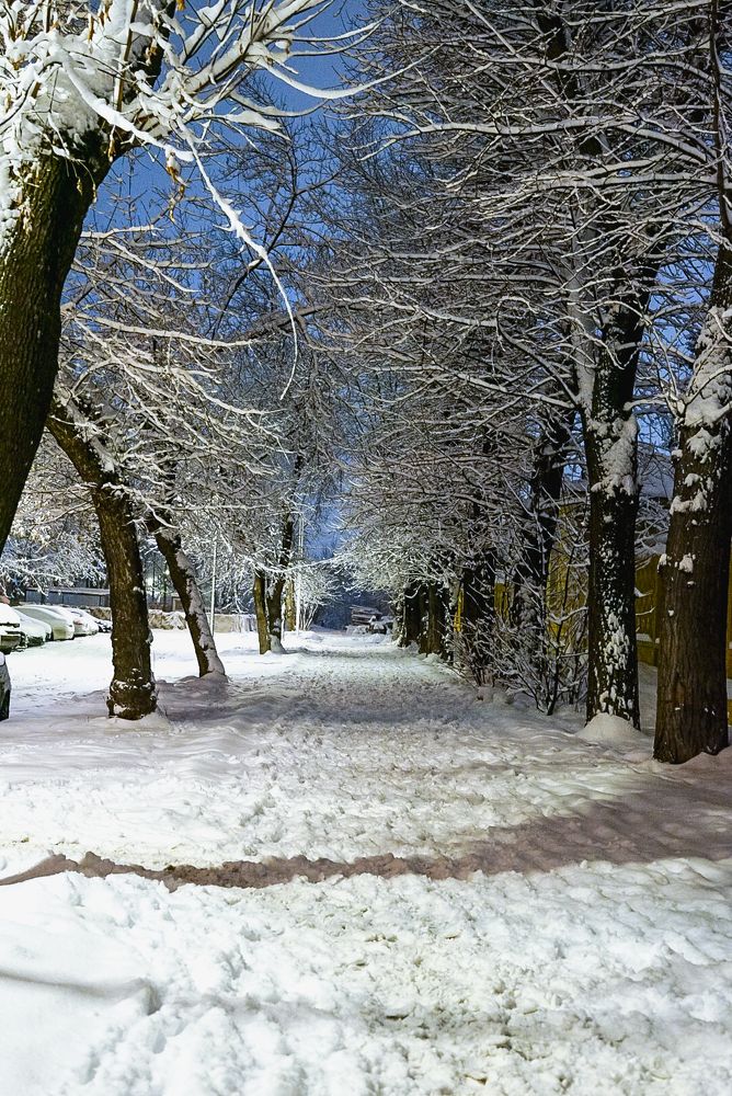 Photograph by Эвелина Моисеева