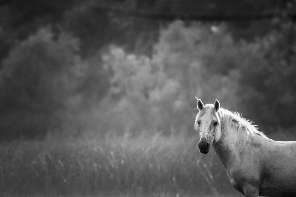 Photograph by Meliha Suskavcevic