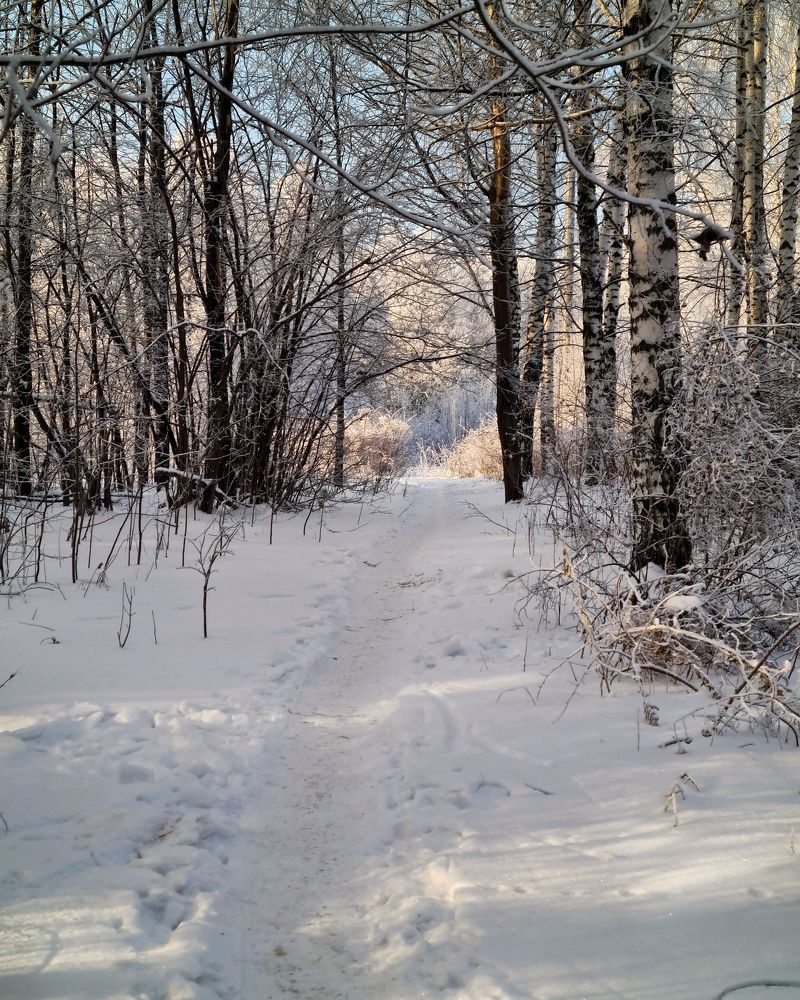 Photograph by Людмила Григорьева