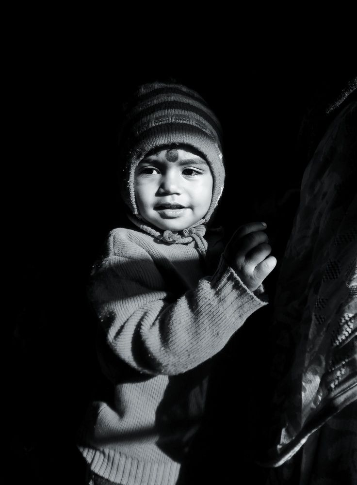 Photo #8493689