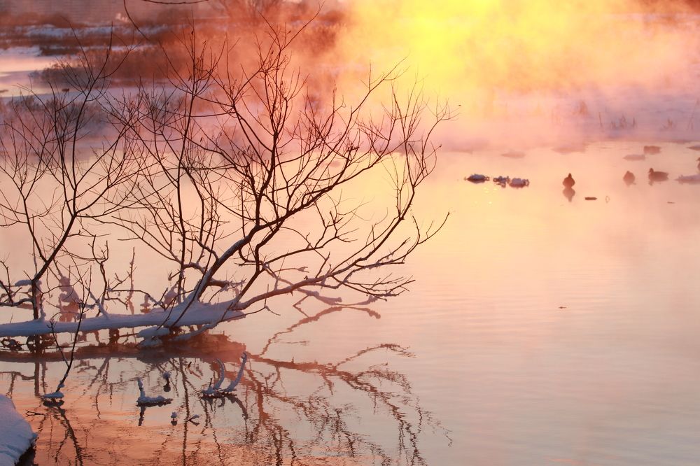 Photograph by Владимир Малёшин