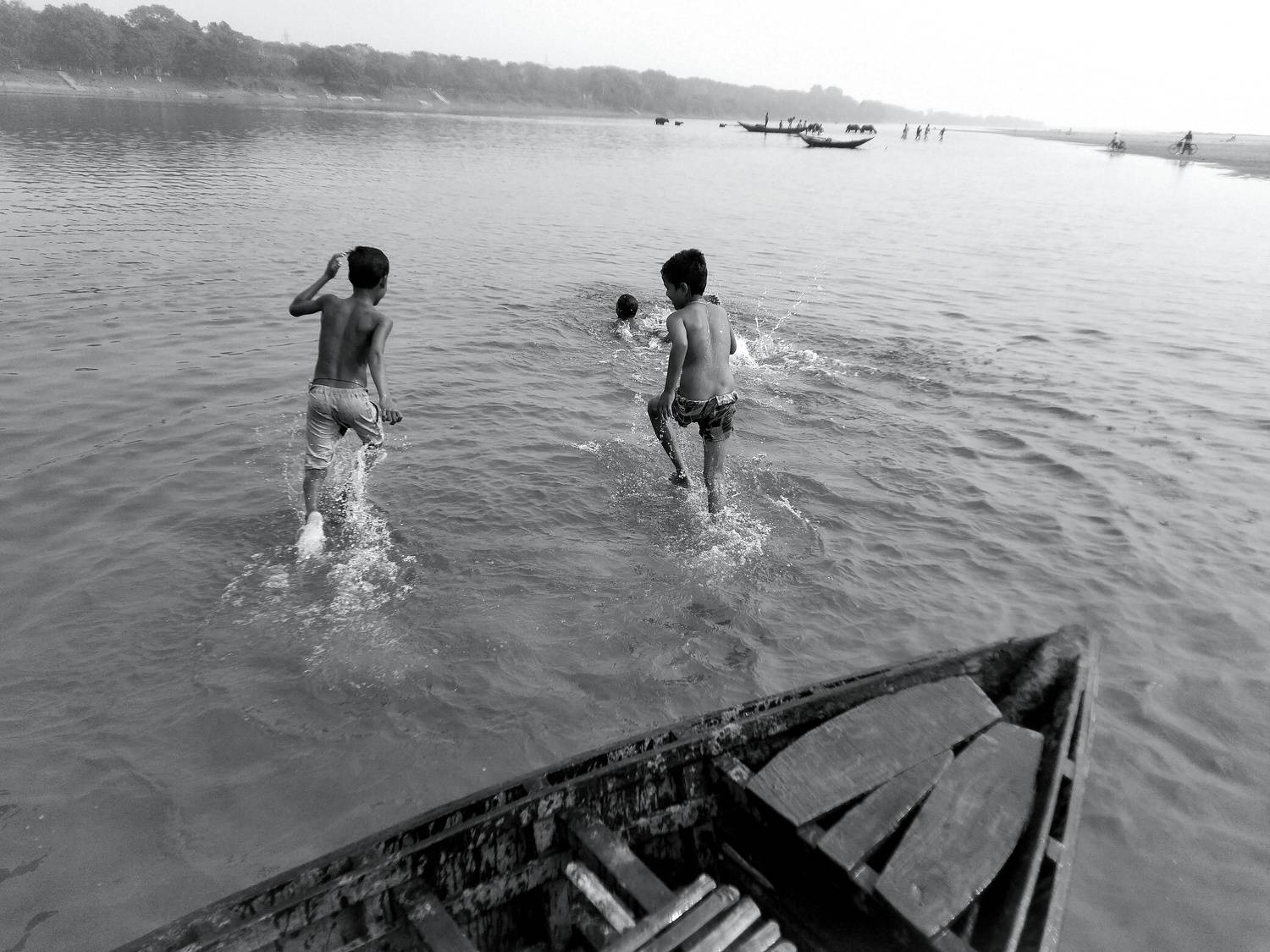 Photo #8493699