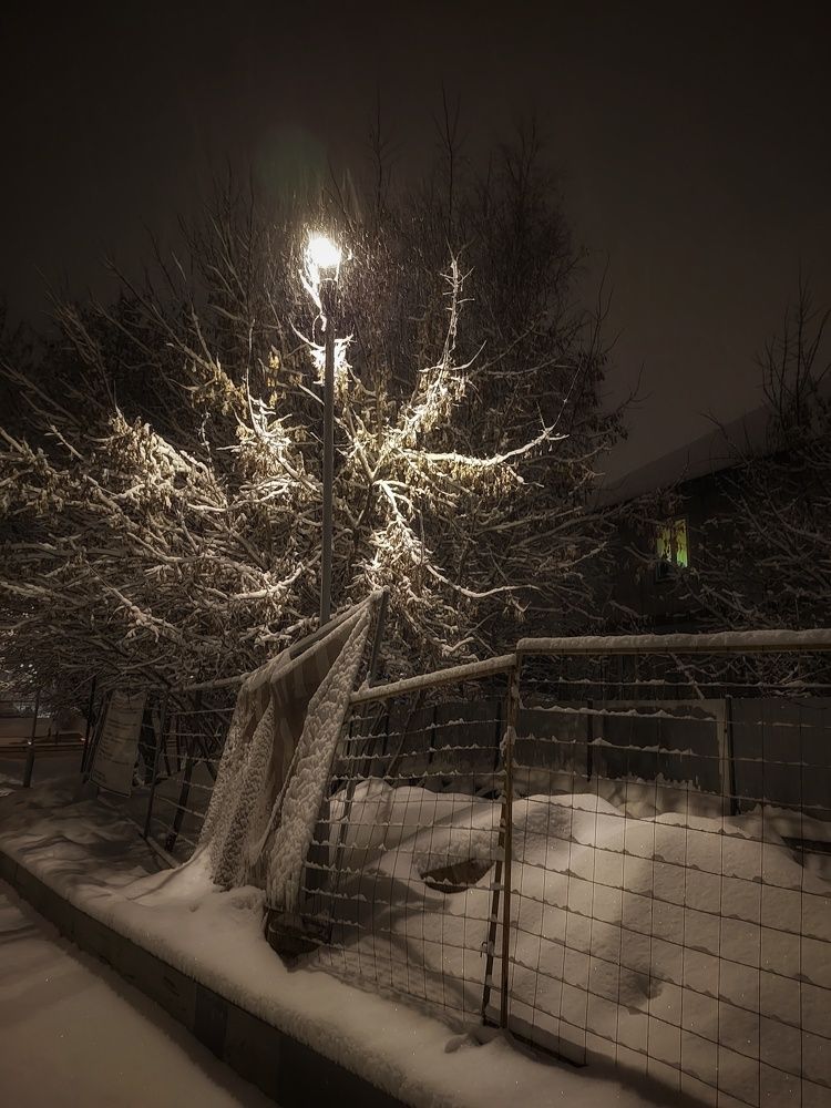 Photograph by Ольга Бородина