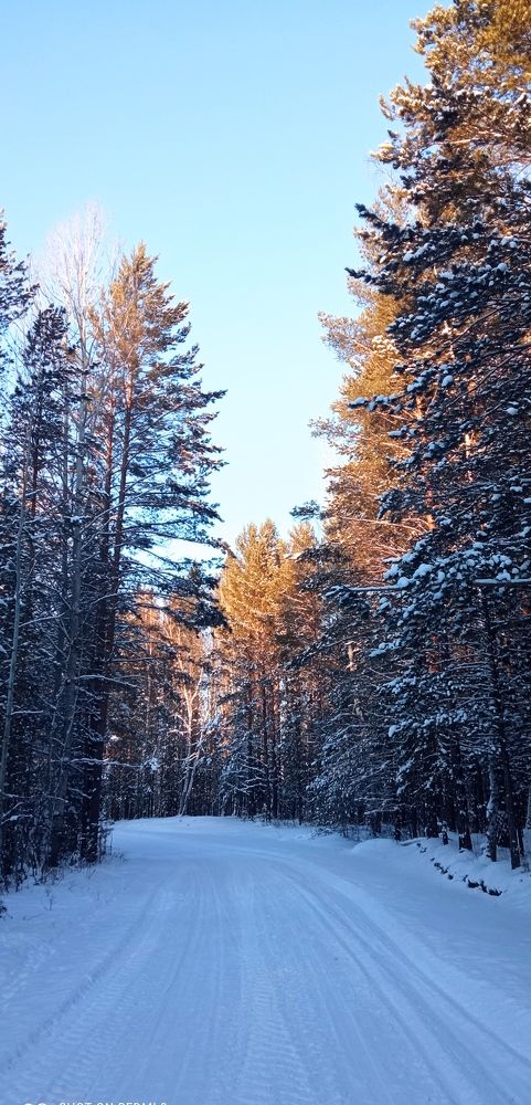 Photograph by Светлана Смирнова (Гридюшко)