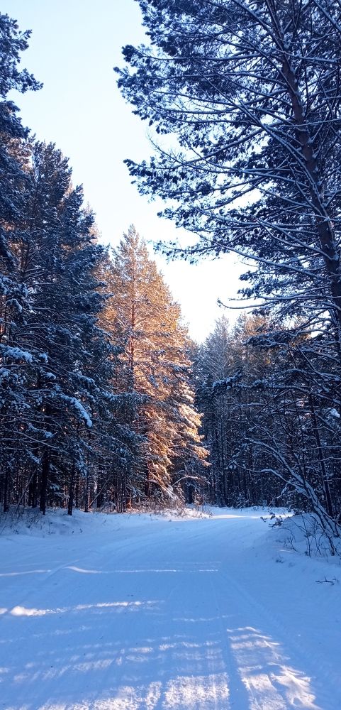 Photograph by Светлана Смирнова (Гридюшко)