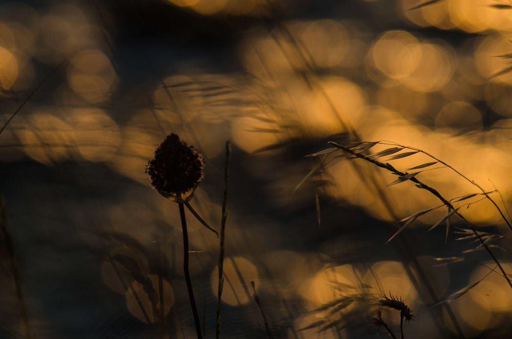 Photograph by Валерий Кондратцев