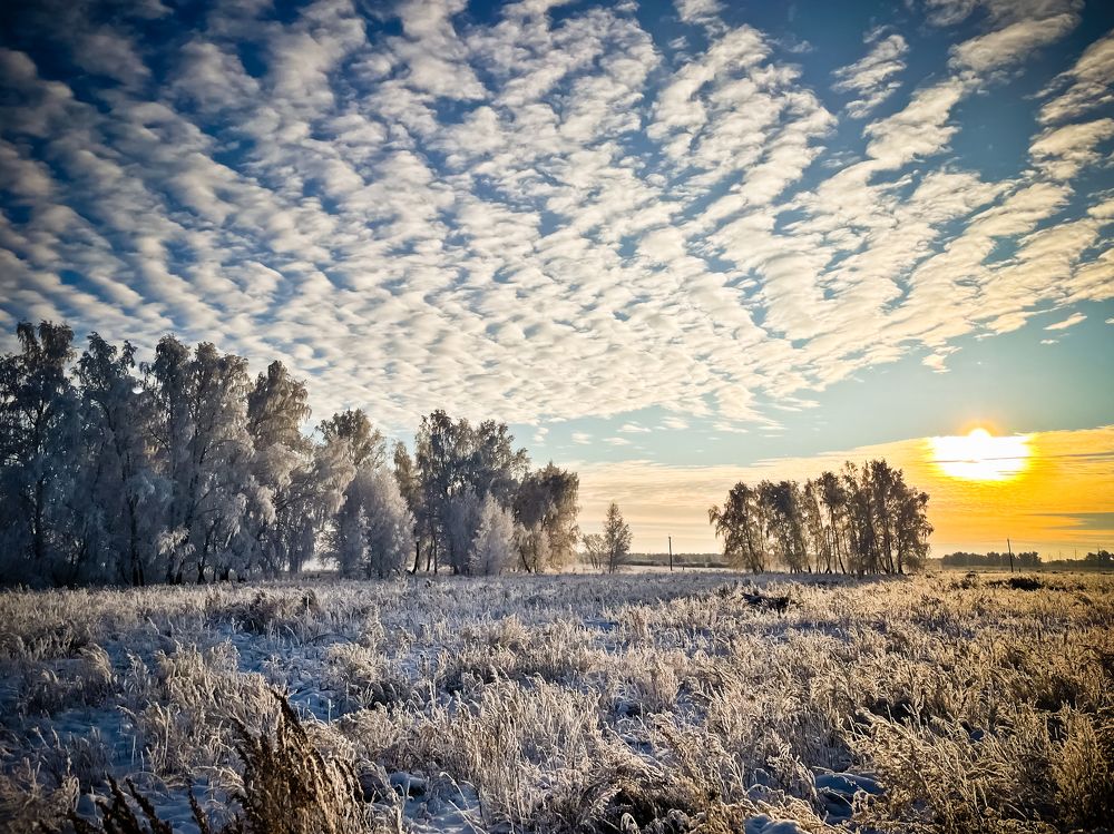 Photograph by Олег Терешкин